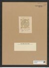 Auliscus macraeanus Grev. (de-Toni-Nr.: Genus 171, Species 4376) Zeichnungen Sammlung Grunow Nr. 7942 (NHMW-BOT-W0377222)
